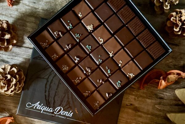 collection automne hiver 2025